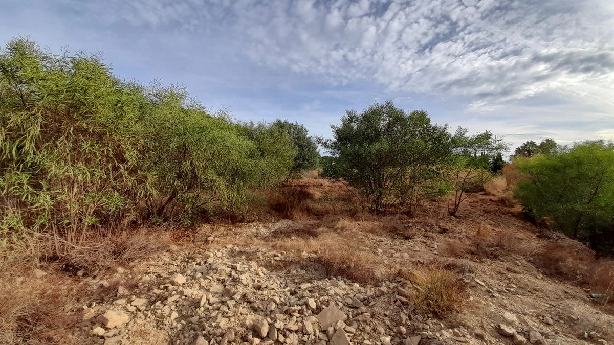 3-e898b2bb2a2fdfd06d2c39894dce8316