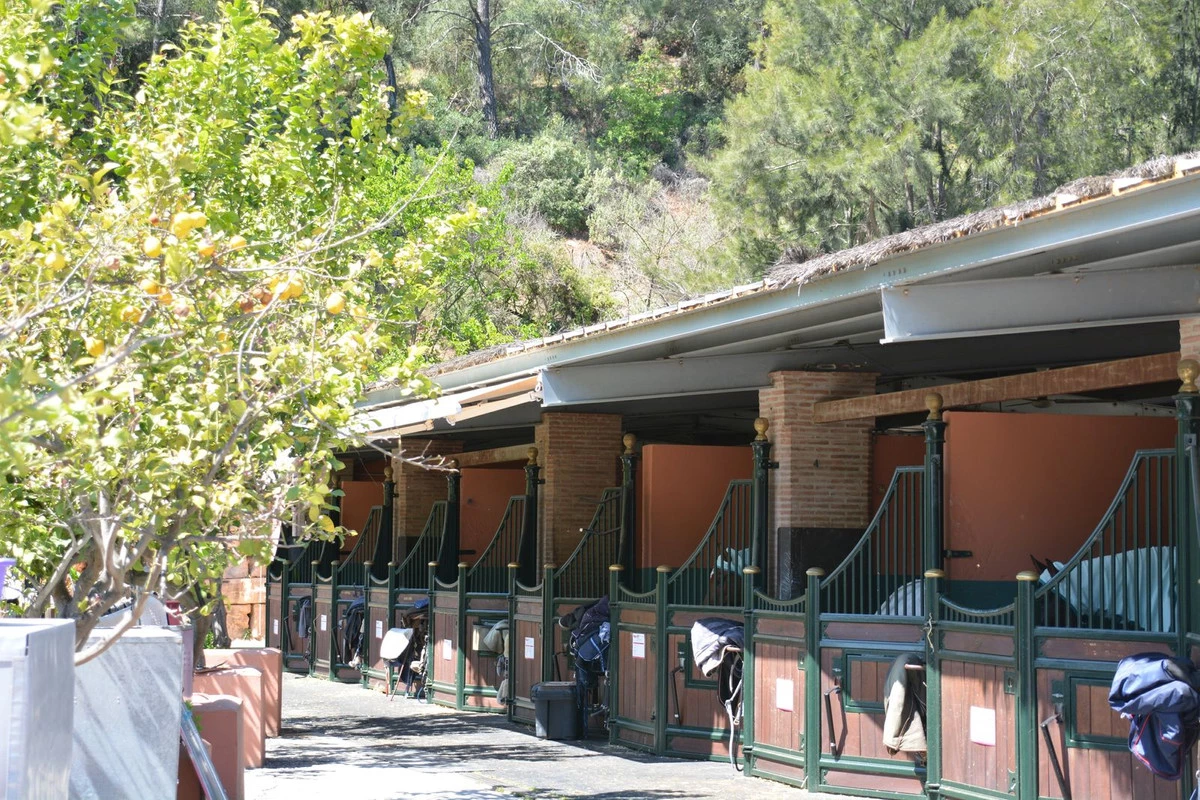 7-aa4cc561180b369757c0bb4af9886cd3