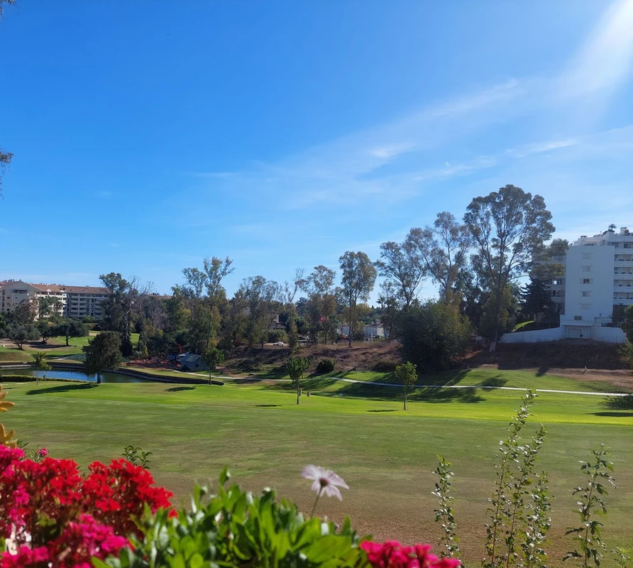 1-7980e48d732b6fc85c14b43b94d2aa54