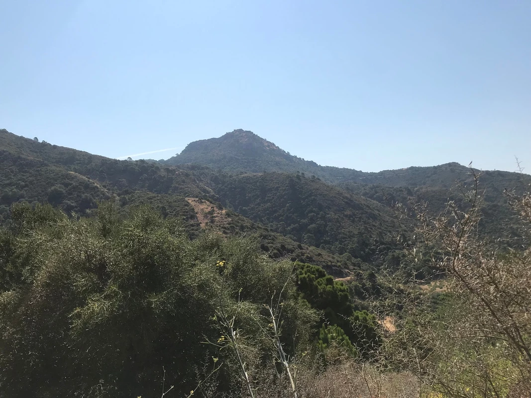 4-c23c0f86247804fa50226aecd8b0b2c8