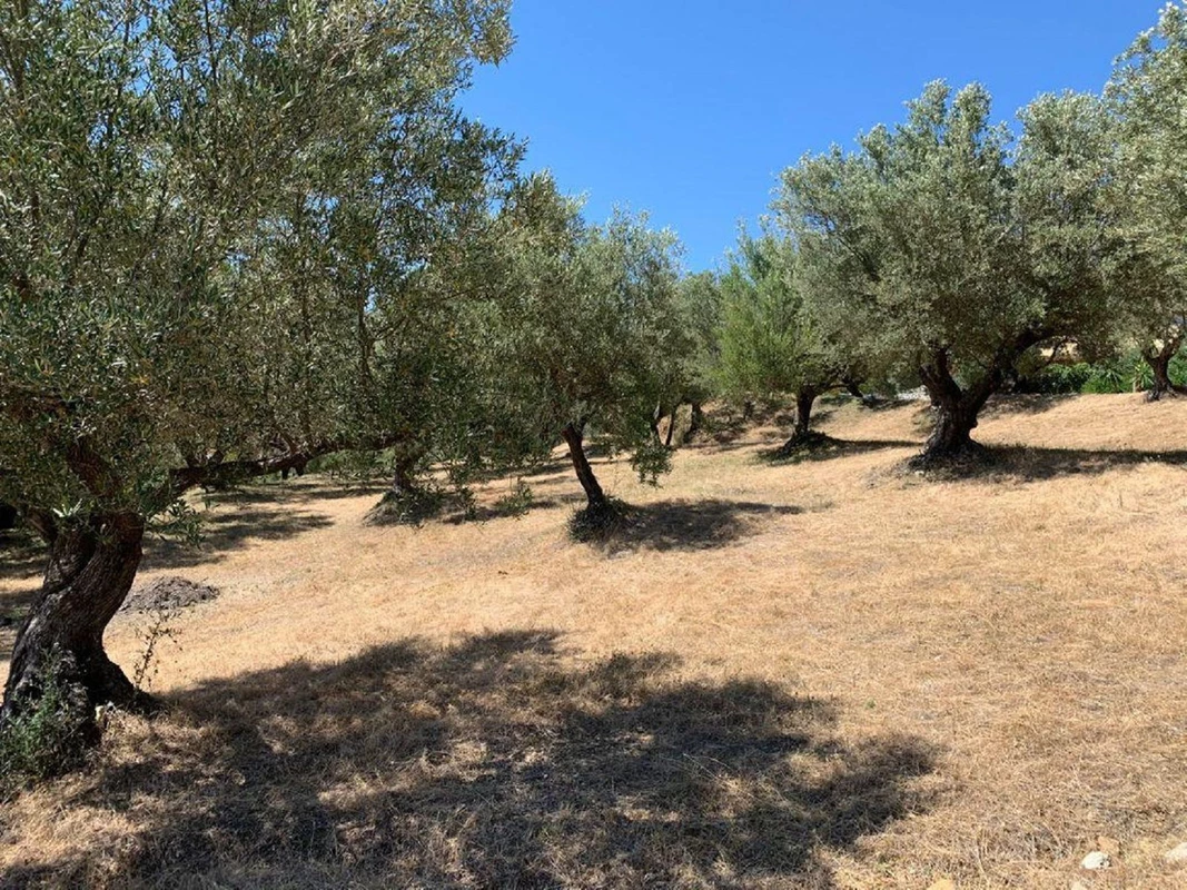 2-5bd7b9d04b45e33852eaf0ec6670150d