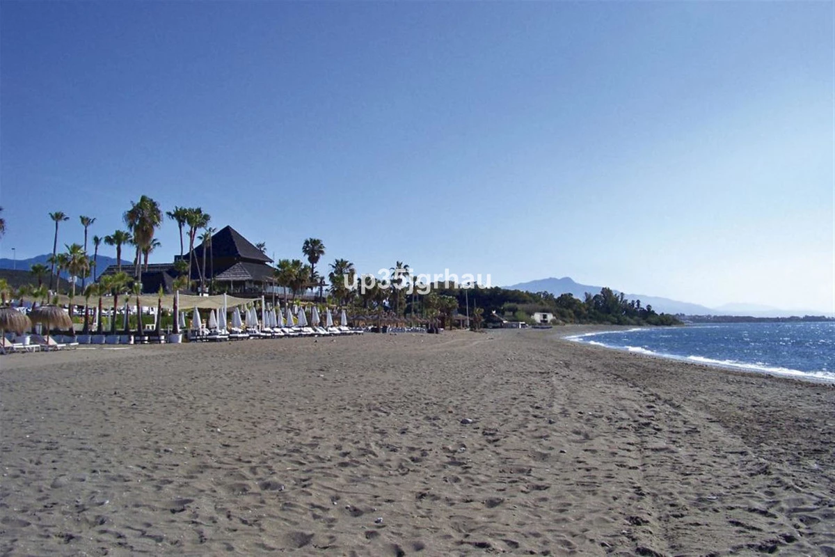 4-c23c0f86247804fa50226aecd8b0b2c8