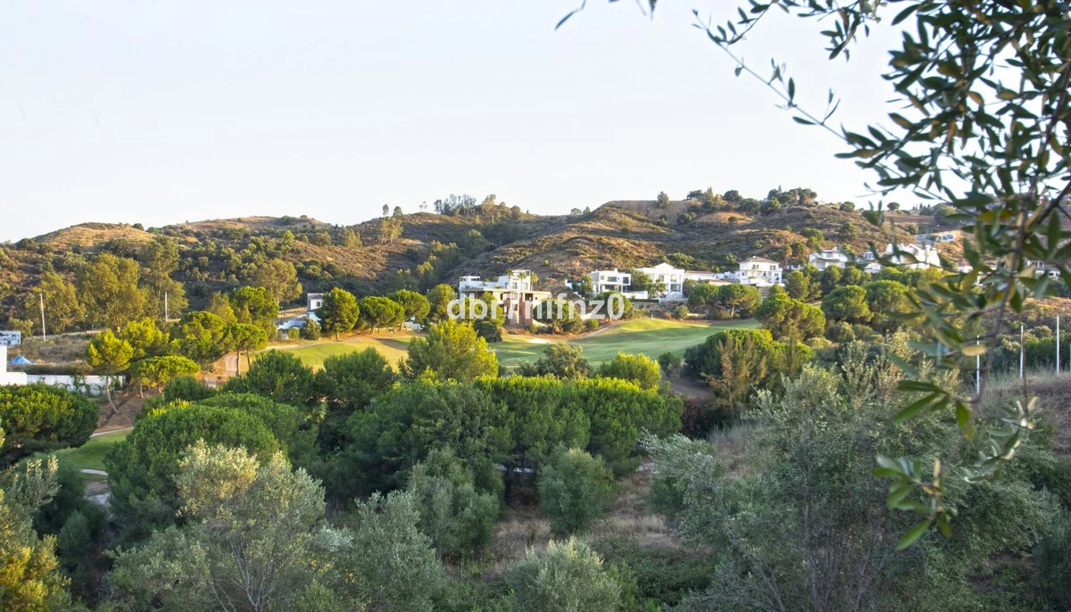 1-7980e48d732b6fc85c14b43b94d2aa54