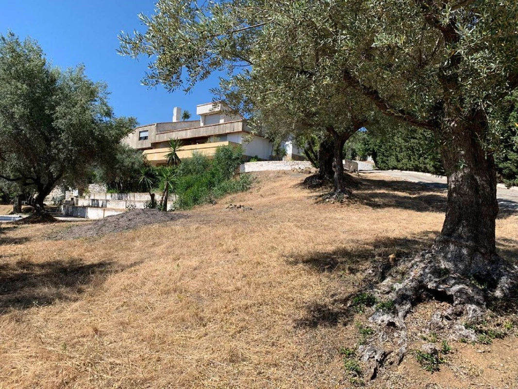 4-c23c0f86247804fa50226aecd8b0b2c8