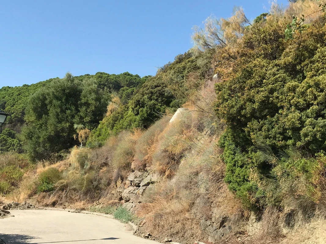 3-e898b2bb2a2fdfd06d2c39894dce8316