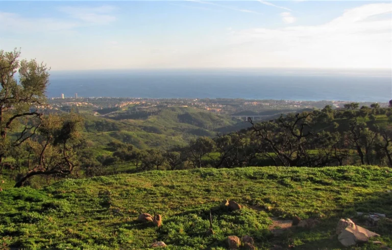 1-7980e48d732b6fc85c14b43b94d2aa54