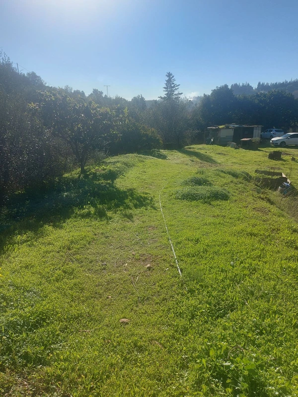 6-241328e1bcc9c0d8ce1222beb6c967a8