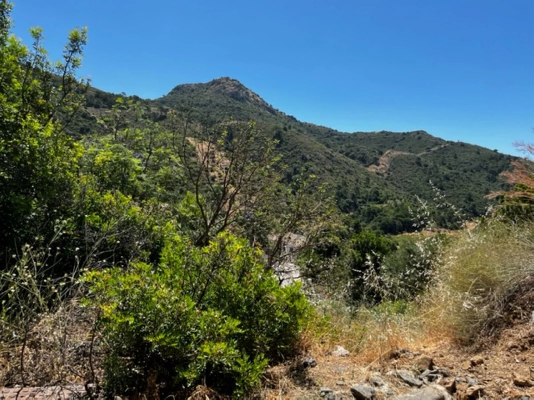 4-c23c0f86247804fa50226aecd8b0b2c8