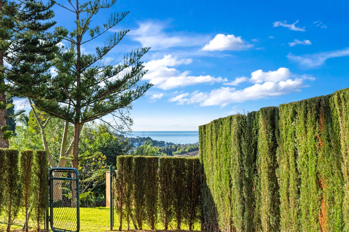 4-c23c0f86247804fa50226aecd8b0b2c8