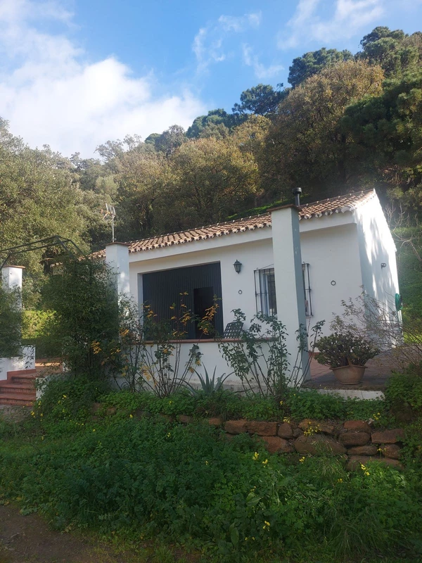 1-7980e48d732b6fc85c14b43b94d2aa54