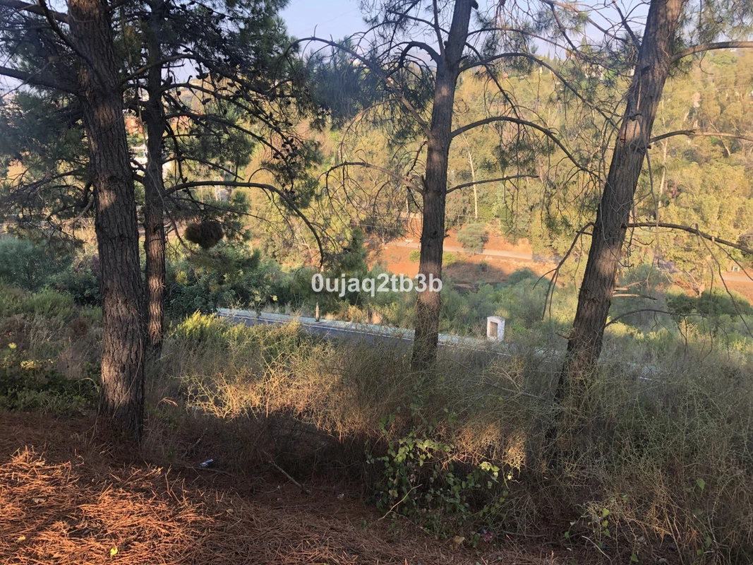 4-c23c0f86247804fa50226aecd8b0b2c8