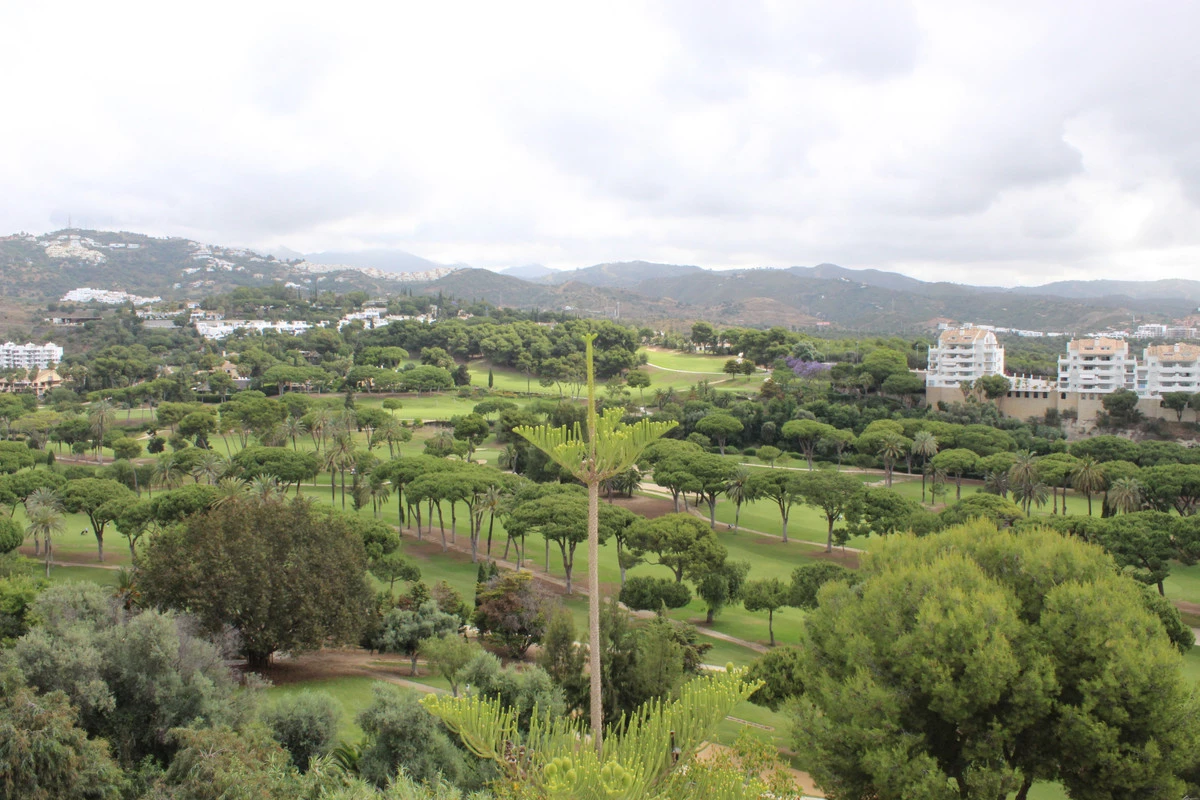 8-e64a9055bba3e77ac8aca3b893cdf826