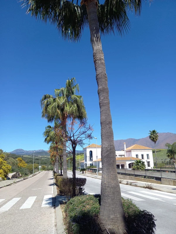 7-aa4cc561180b369757c0bb4af9886cd3