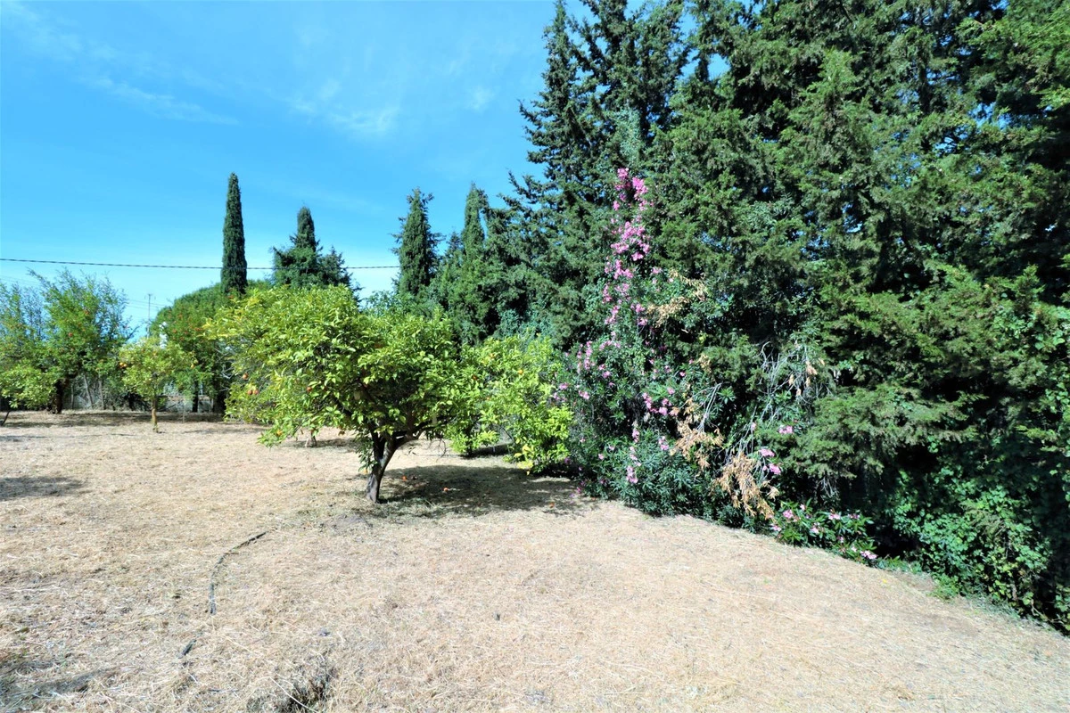 3-e898b2bb2a2fdfd06d2c39894dce8316