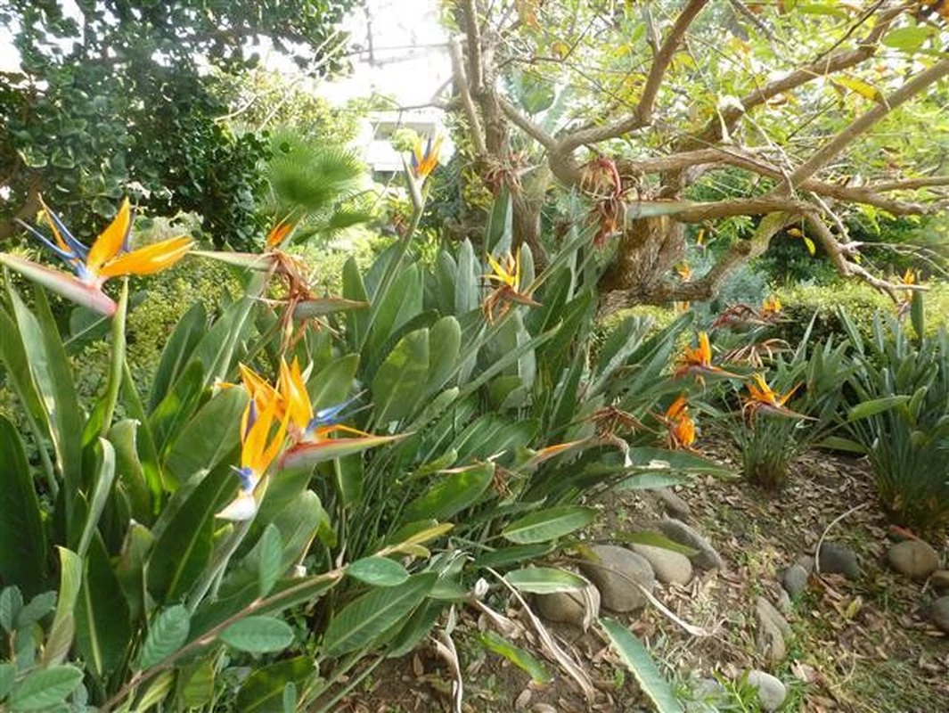 5-3595ad71cbd87be6c3643a4285ef4791