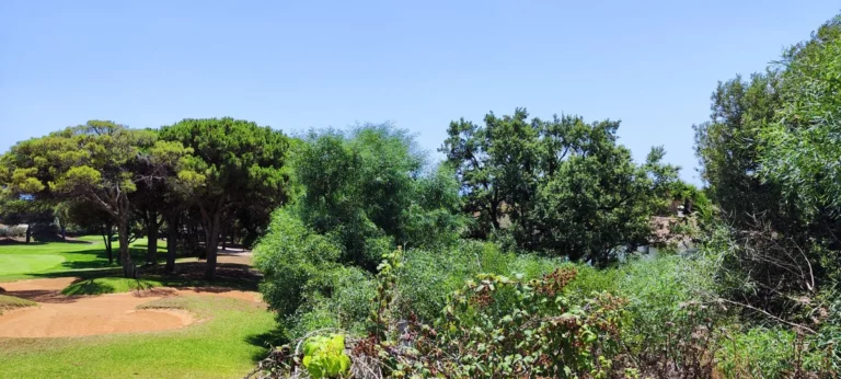 1-7980e48d732b6fc85c14b43b94d2aa54