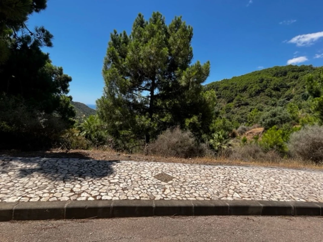 2-5bd7b9d04b45e33852eaf0ec6670150d