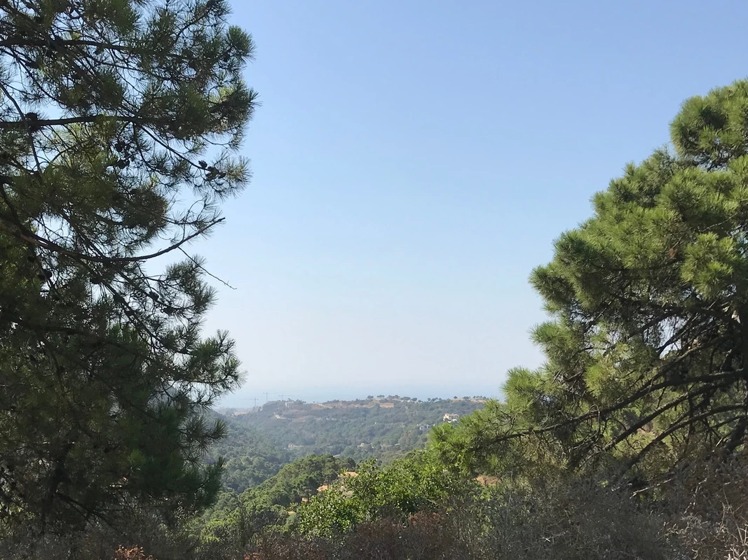 1-7980e48d732b6fc85c14b43b94d2aa54