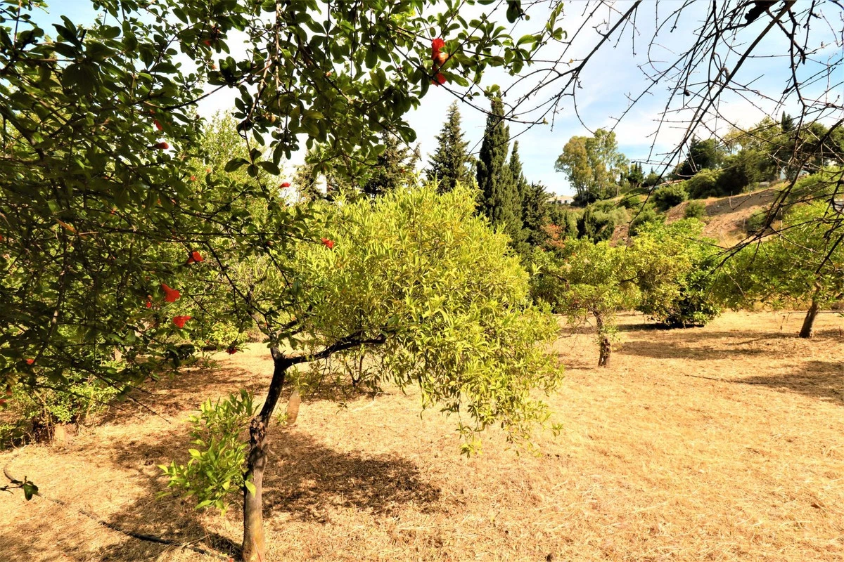 7-aa4cc561180b369757c0bb4af9886cd3