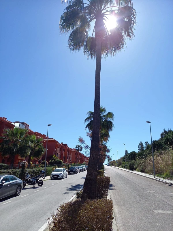 8-e64a9055bba3e77ac8aca3b893cdf826