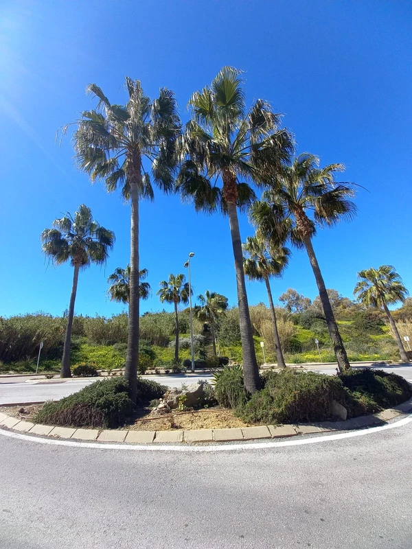 5-3595ad71cbd87be6c3643a4285ef4791