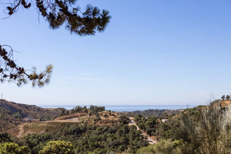 1-7980e48d732b6fc85c14b43b94d2aa54