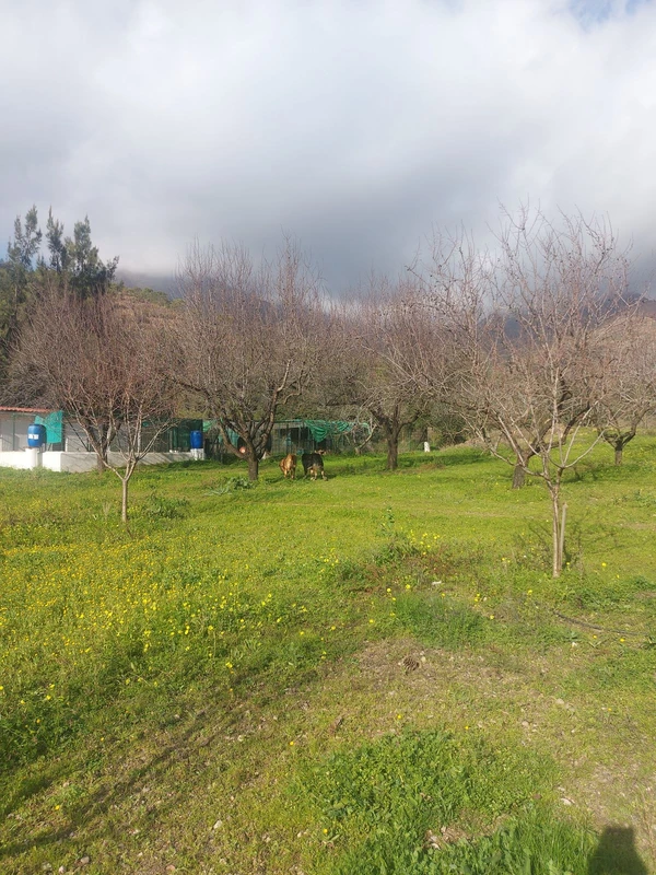 5-3595ad71cbd87be6c3643a4285ef4791