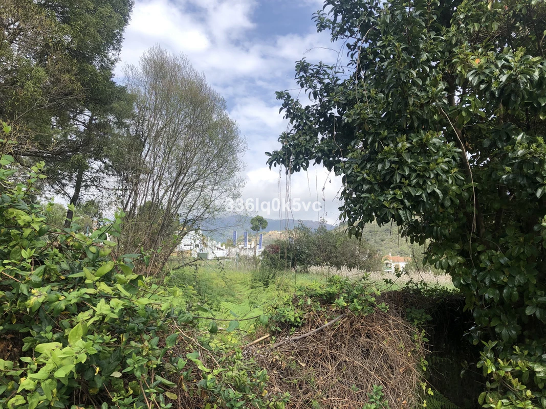 3-e898b2bb2a2fdfd06d2c39894dce8316