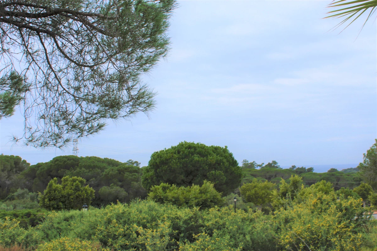 2-5bd7b9d04b45e33852eaf0ec6670150d