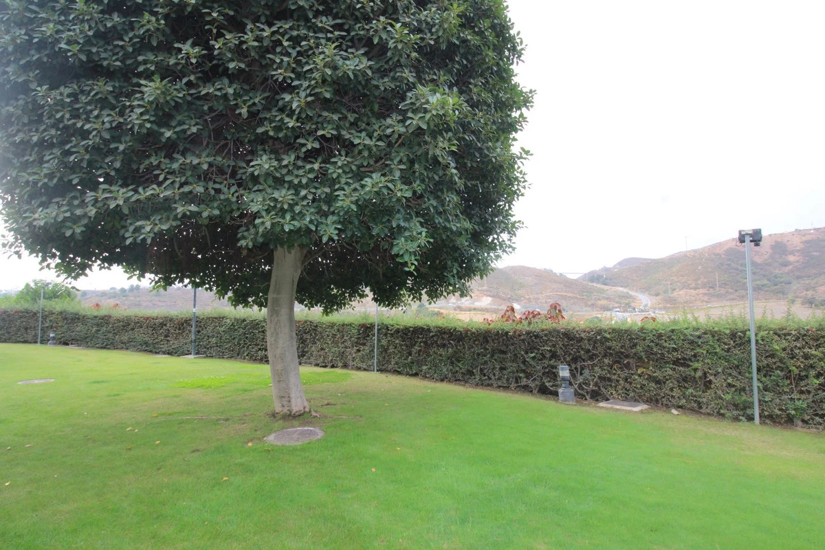 3-e898b2bb2a2fdfd06d2c39894dce8316