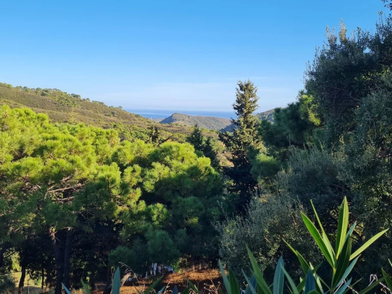 1-7980e48d732b6fc85c14b43b94d2aa54