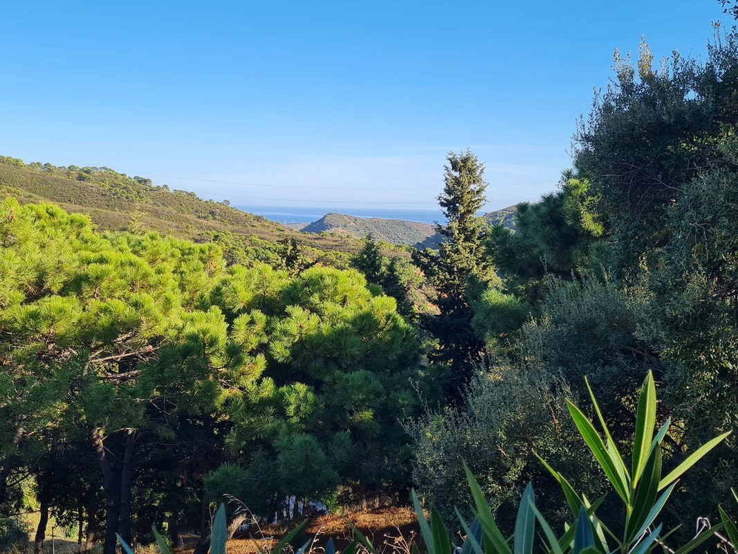 1-7980e48d732b6fc85c14b43b94d2aa54