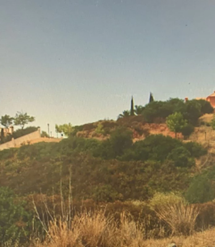 1-7980e48d732b6fc85c14b43b94d2aa54