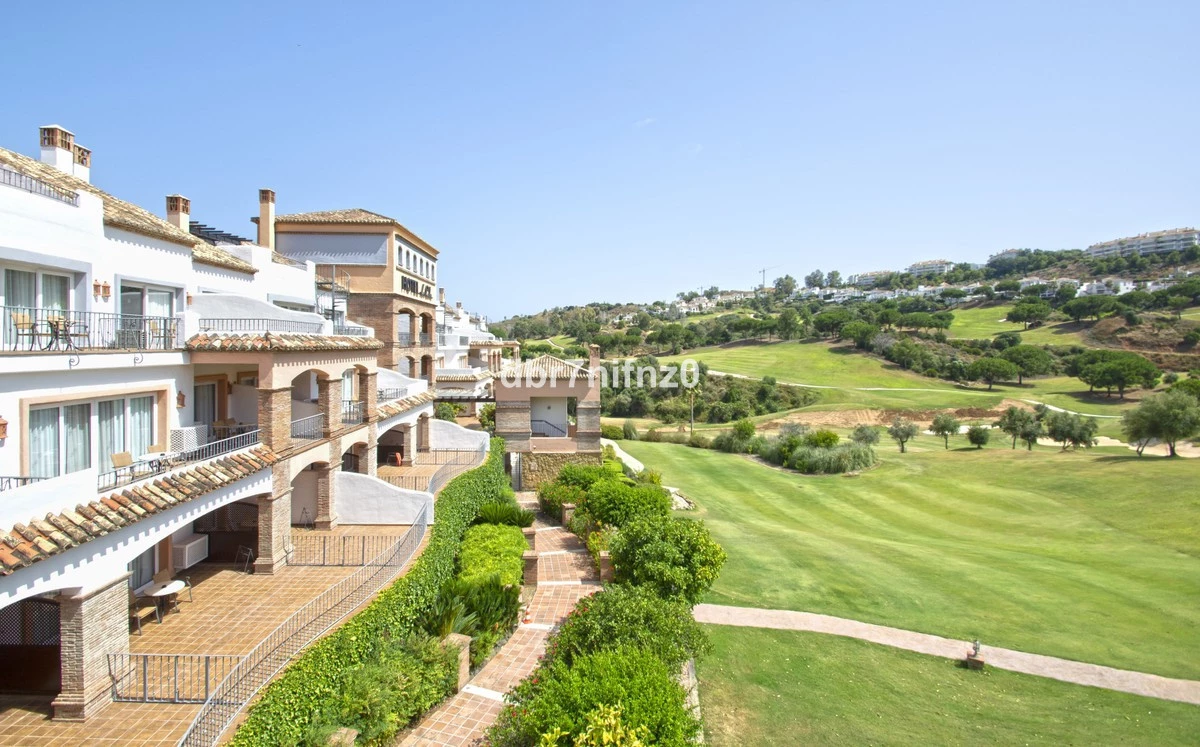 8-e64a9055bba3e77ac8aca3b893cdf826