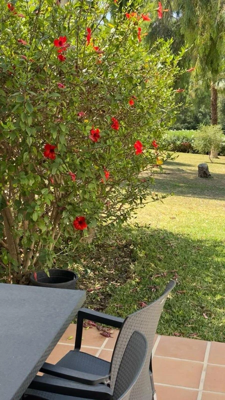 6-241328e1bcc9c0d8ce1222beb6c967a8