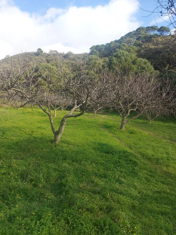 8-e64a9055bba3e77ac8aca3b893cdf826