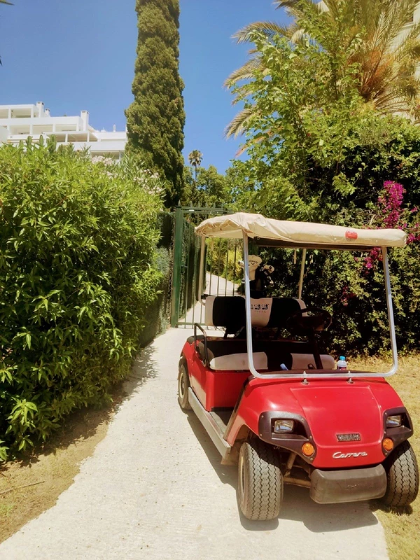 3-e898b2bb2a2fdfd06d2c39894dce8316