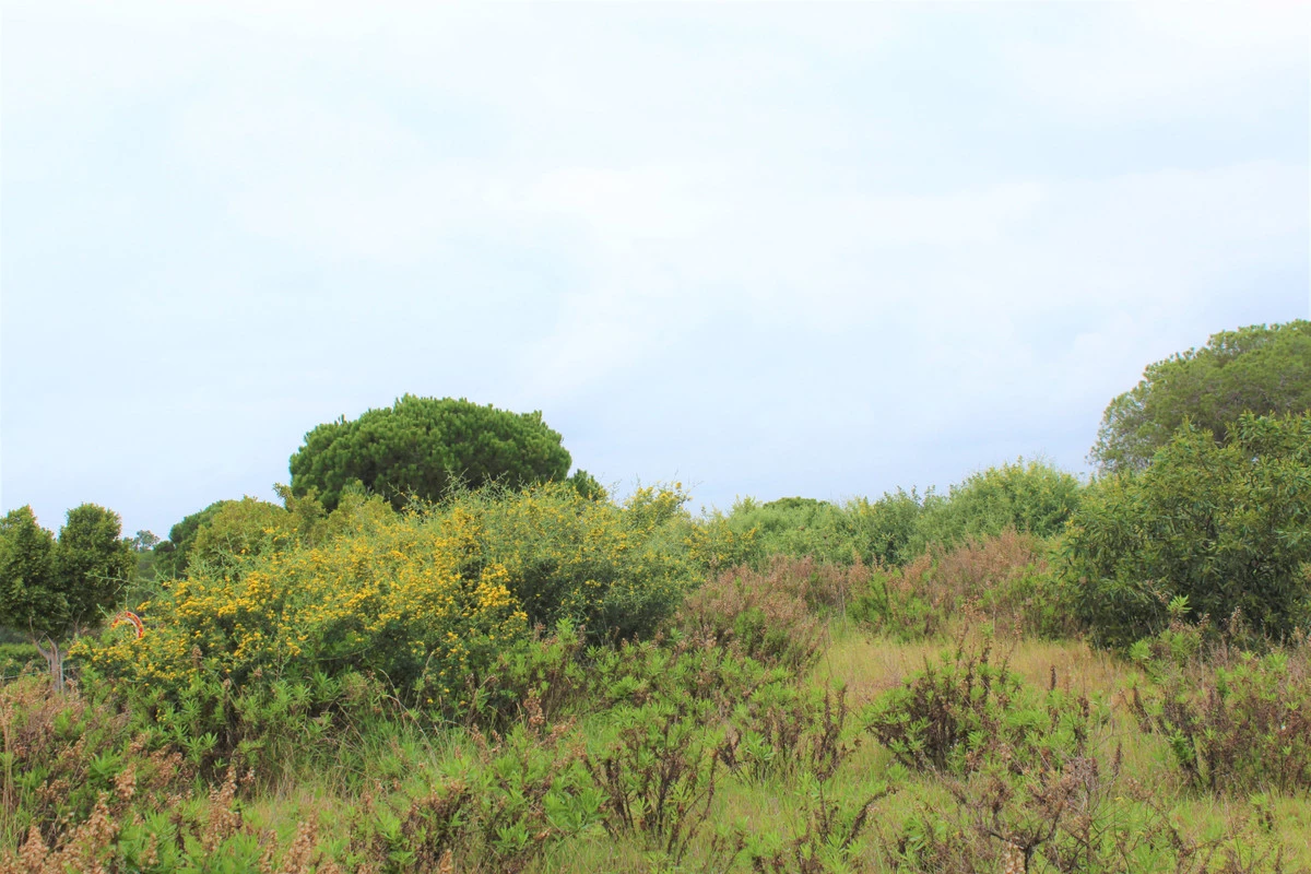 5-3595ad71cbd87be6c3643a4285ef4791