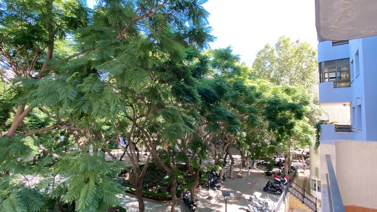 6-241328e1bcc9c0d8ce1222beb6c967a8