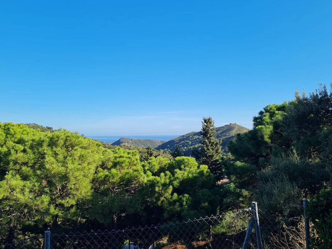 2-5bd7b9d04b45e33852eaf0ec6670150d