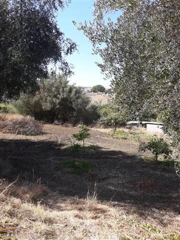 9-467d0cee5b725f3ef65f102a0c2e69c0