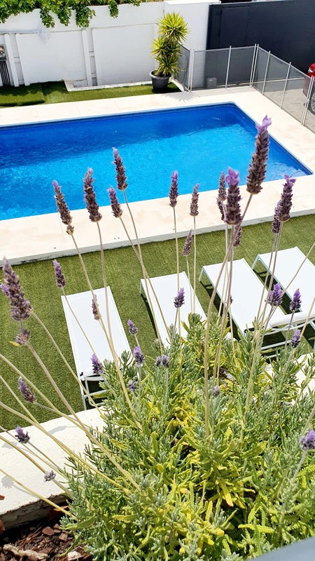 8-e64a9055bba3e77ac8aca3b893cdf826