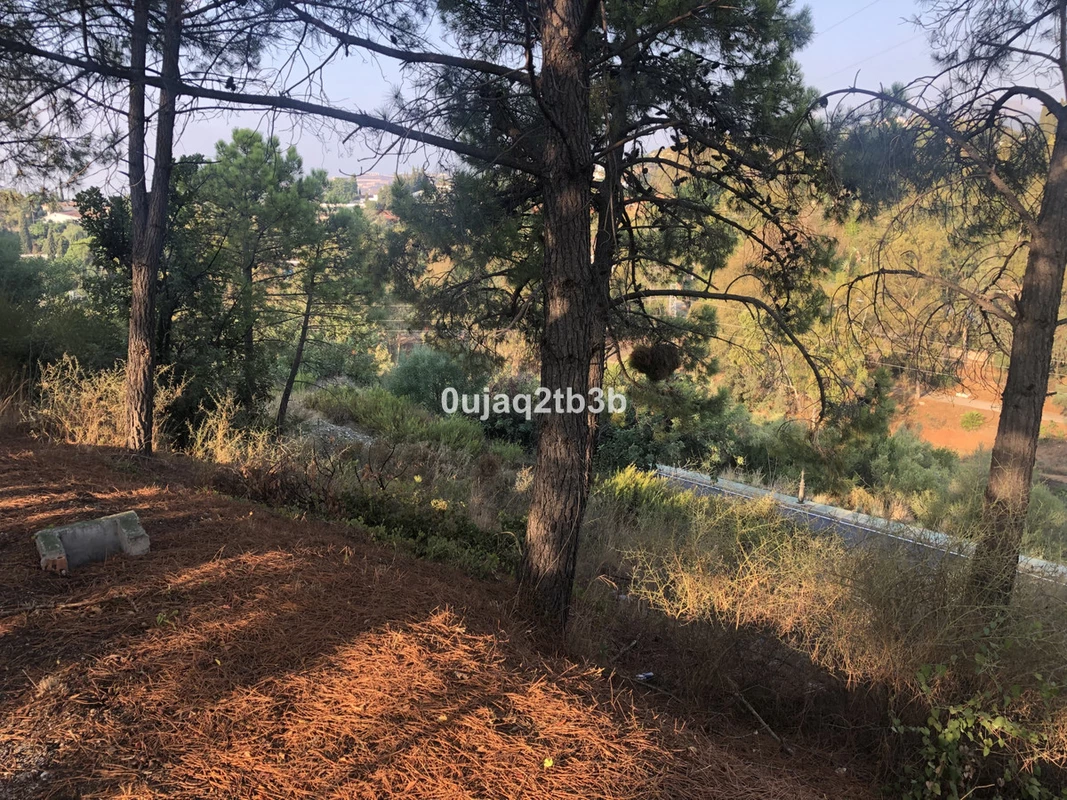 5-3595ad71cbd87be6c3643a4285ef4791