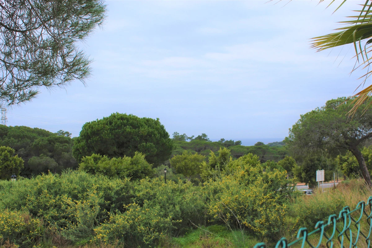 1-7980e48d732b6fc85c14b43b94d2aa54