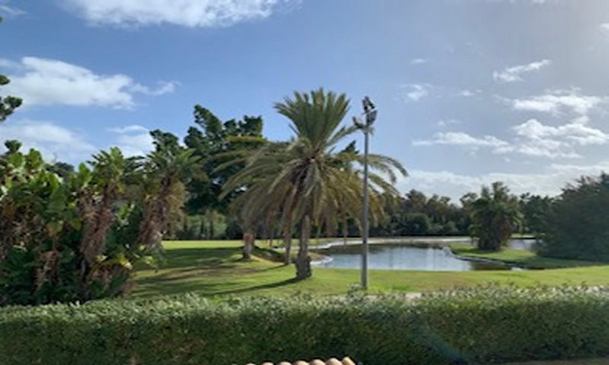 4-c23c0f86247804fa50226aecd8b0b2c8