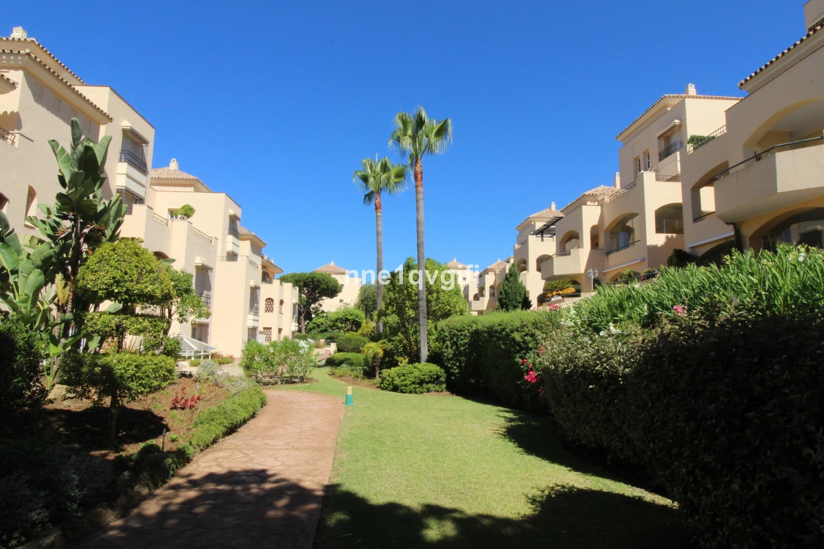 4-c23c0f86247804fa50226aecd8b0b2c8