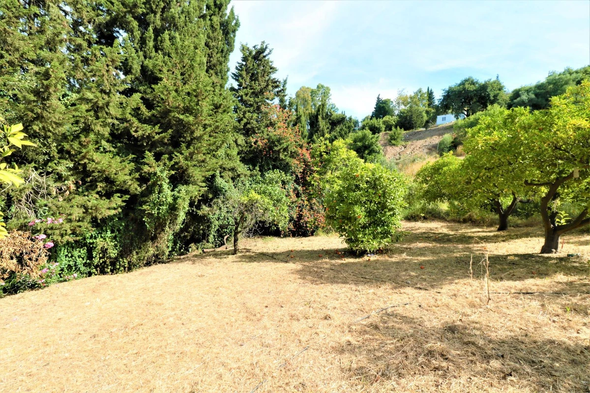 8-e64a9055bba3e77ac8aca3b893cdf826