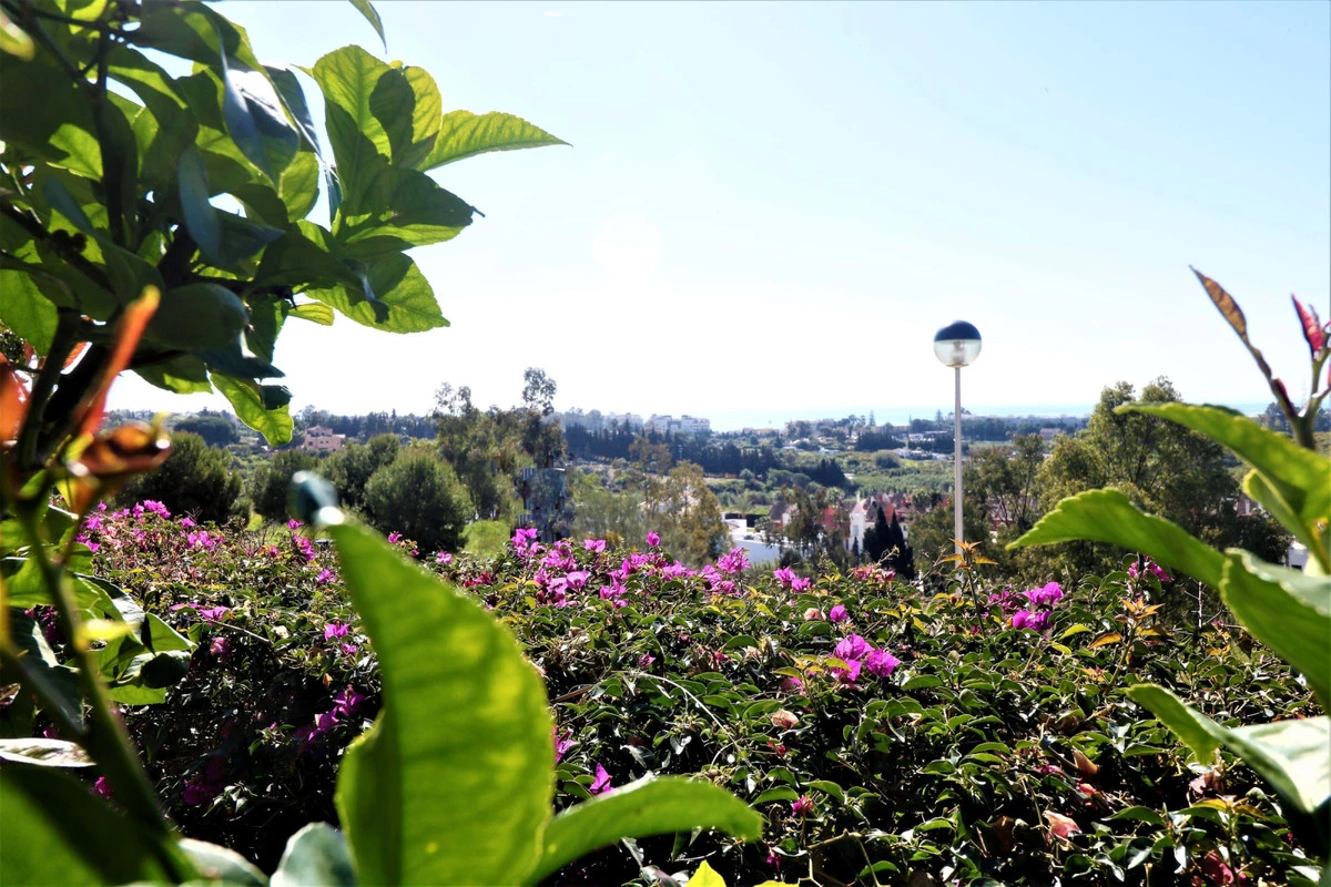 1-7980e48d732b6fc85c14b43b94d2aa54