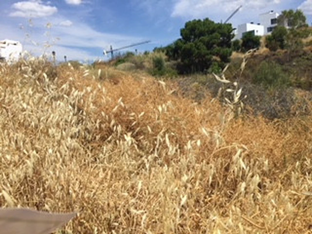 2-5bd7b9d04b45e33852eaf0ec6670150d