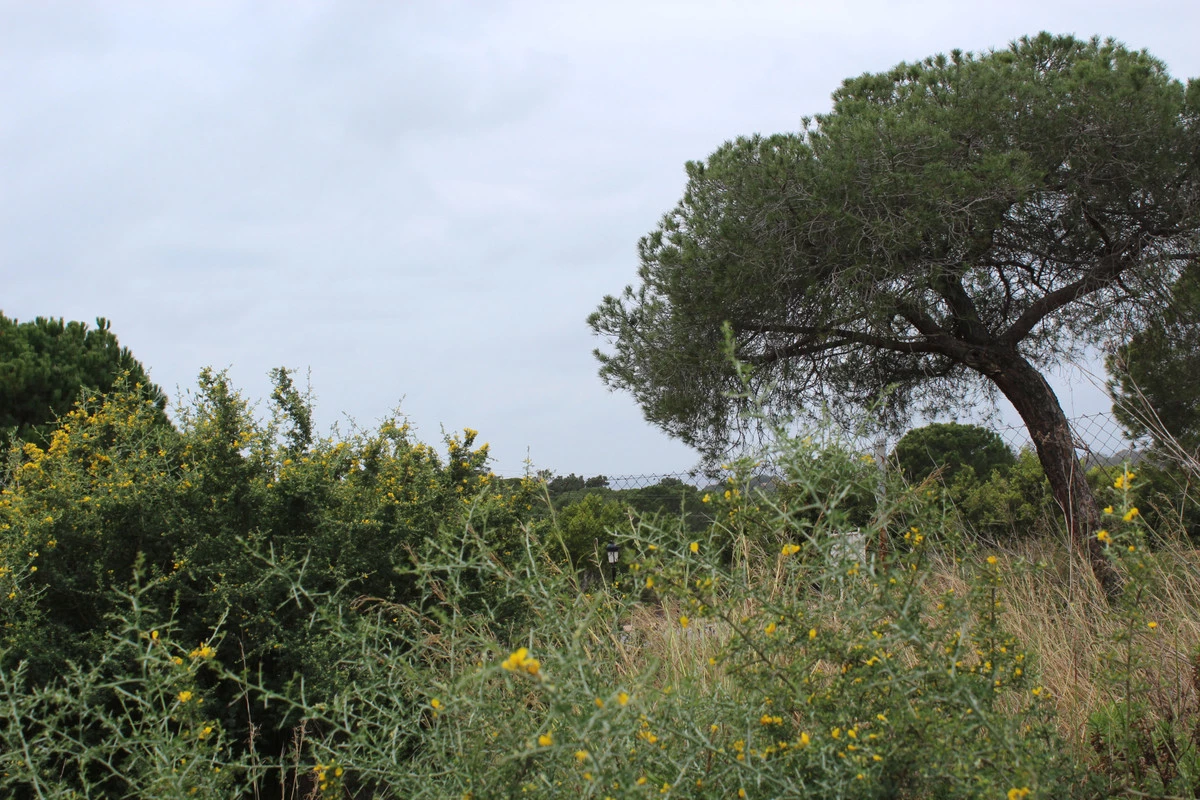 8-e64a9055bba3e77ac8aca3b893cdf826